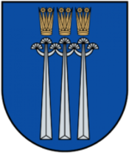 Soļotāji sacenšas Druskininkos.