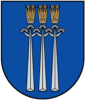 Soļotāji sacenšas Druskininkos.