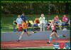 img_1765_t1.jpg